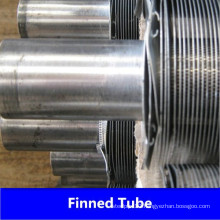 China Manufacture L Type Fin Tube